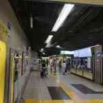 エコール・クリオロ - 3番出口がどちらにあるか探してみると