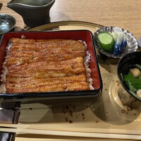 うなぎ 目白ぞろ芽 - 