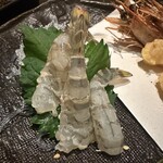 釜めしと海鮮の店 ジャポニカサード - 