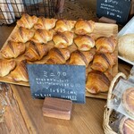 ステイゴールド - 