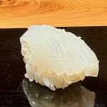 幸寿し - アオリイカ