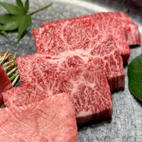 USHIGORO S. SHINJUKU - 