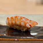 鮨 こう介 - 半レアの絶品車海老