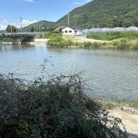 飴源 - 