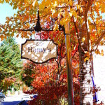 Restaurant Hamy's 가루이자와 - 道路脇のの看板