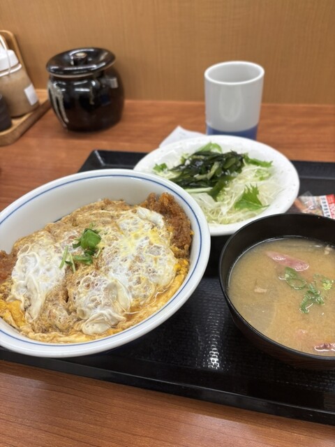 Katsuya Akihabara Ten