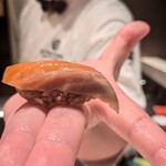 2nd EDITION TERUZUSHI - 