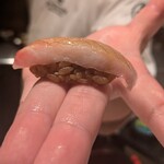 2nd EDITION TERUZUSHI - 