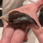 2nd EDITION TERUZUSHI - 