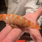 2nd EDITION TERUZUSHI - 