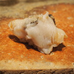 鮨 澤むら - つぶ貝