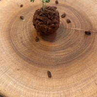 Ristorante Narvalo - 