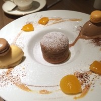 ダルマット 六本木ヒルズ店 - 