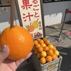 まるごと果汁店
