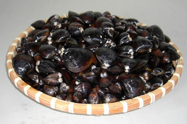 Yakiniku no Izutsuya Nakagawa Ten