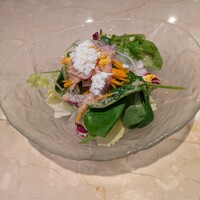サカナザ - カッティングチーズ乗った葉物サラダ