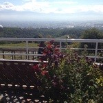 サントリー　登美の丘ワイナリー　 - お土産売り場からの眺め