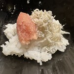 富小路 やま岸 - 