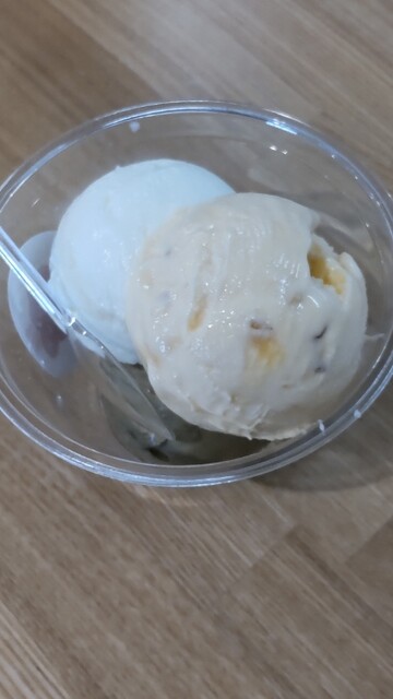 Parlor Hydrangea photo 2