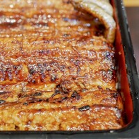 わたべ - うな重 特上