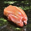 鮨 かぐら - 