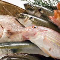 厳選された新鮮な海鮮料理