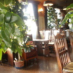 洋燈 - 店内は緑いっぱい