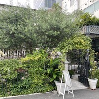 表参道バンブー - 