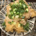 たけうちうどん店 - 写真ではこのボリューム感が中々伝わらないかも、大根おろしの量がまた凄い