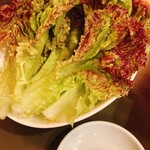 志村 徳寿園 - サンチュ(生育不良で今日はサニーレタス)