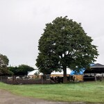 ミルキー ベル - 