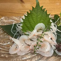 浅草 魚料理 遠州屋 -  浅草 魚料理 遠州屋 -