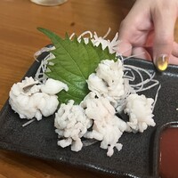 浅草 魚料理 遠州屋 -  浅草 魚料理 遠州屋 -