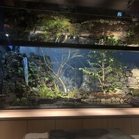 鮨shizuku 西天満 - 