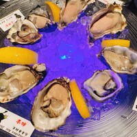 MAIMON GINZA - 