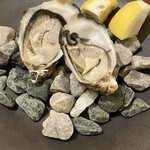 Oyster House Pisca - 