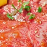 炭火焼肉 たけのうち - 