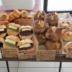 下田流 - 陳列棚の様子②。