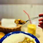 カリーライス専門店エチオピア - 海老+野菜カリー