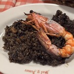 サル イ アモール - 