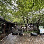 Sajilo Cafe Forest - 