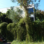 ヨシタベーカリー - 