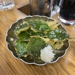 サカトケ乃カミ - 