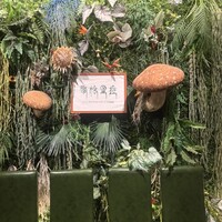 Shangri-La’s secret 表参道店 - 