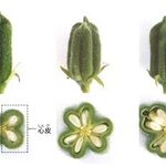 restaurant Et ... - 詩ちゃんのごまは左の4室