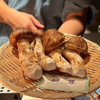 たでの葉 - 国産松茸は、秋田県産のコメツガ松茸！
                    これかなり立派なサイズです！！