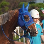 香楽園 本店 - 9歳馬ホクトローリーとエスマスフエルテさん、一緒に応援できてしあわせでした