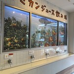シン・エヒメ - 