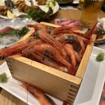 海鮮酒蔵 二三一 - 