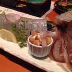 暖 - 活スルメイカ姿造りアップ